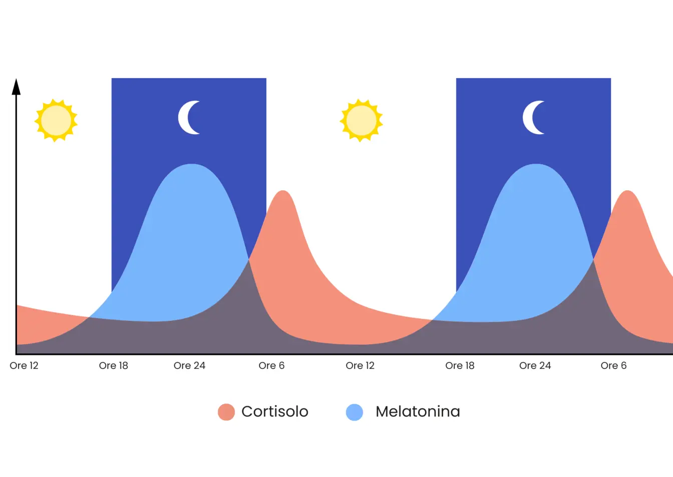 Grafico cortisolo e melantonina