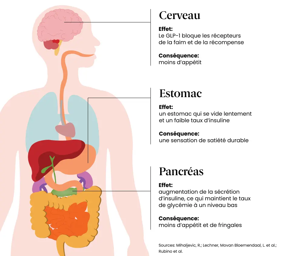 Effet des médicaments GLP1