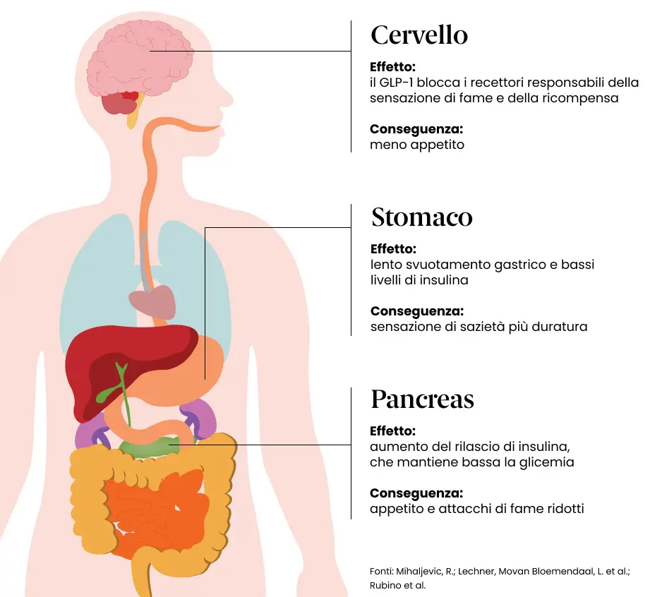 Effetto dei farmaci GLP1