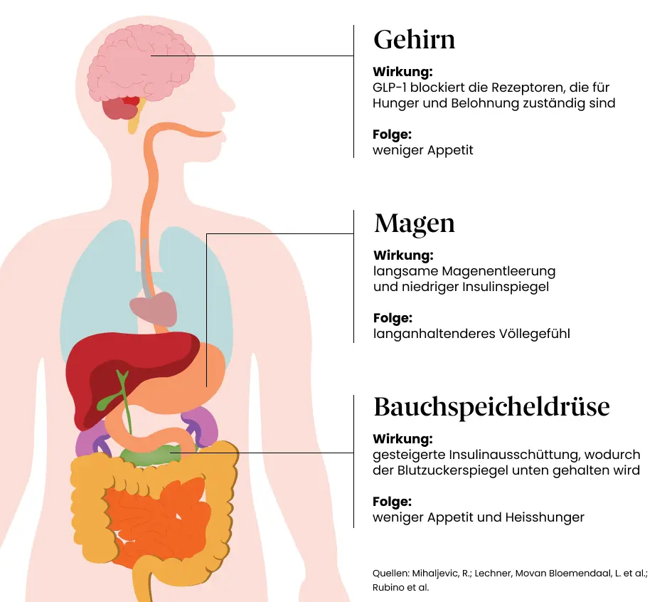 Wirkung GLP1-Medikamente