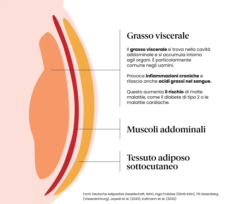 Grasso Viscerale