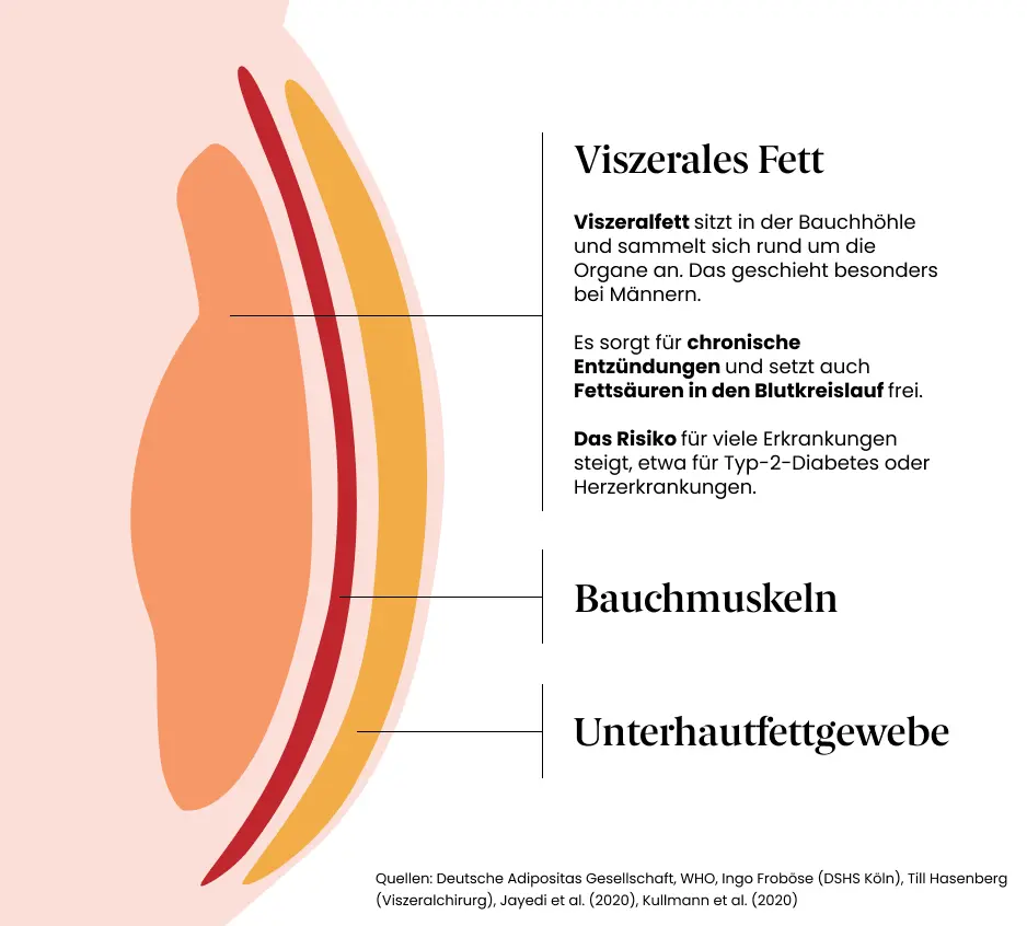 Bauchfett